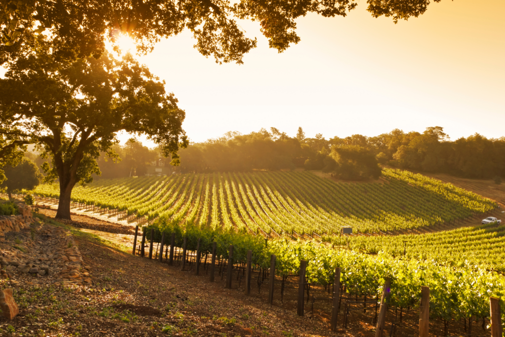 Design sans titre (8)